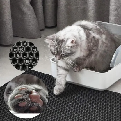 AbsorbiLitière